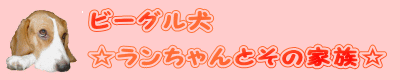 �r�[�O�����@�����������Ƃ��̉Ƒ���